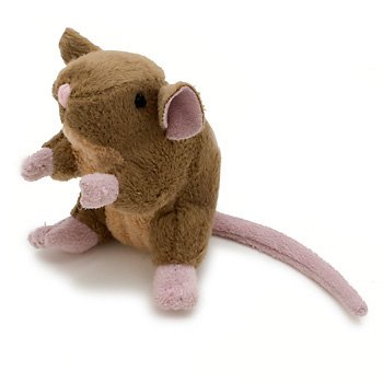 Cat House Mouse Cat Toy