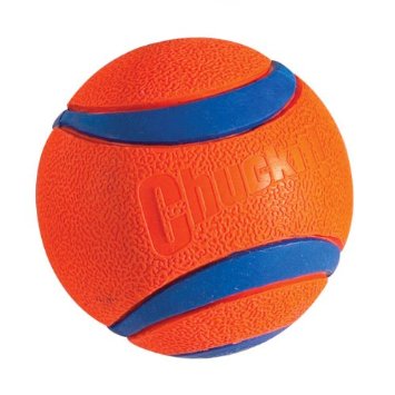 ChuckIt Ultra Balls for Dogs