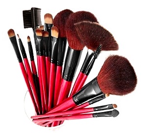 Professional 13-Piece Cosmetic Brush Set with Pouch